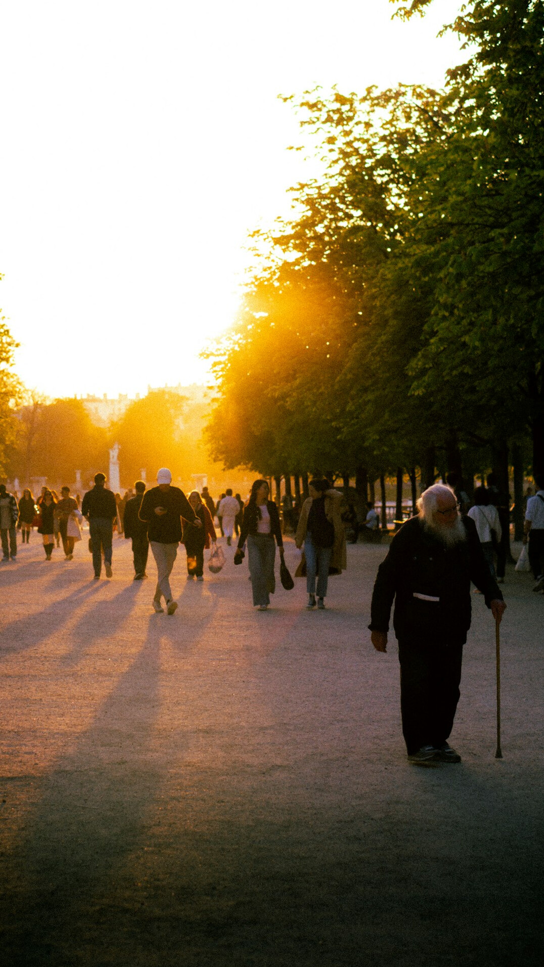 elderly people walking in park